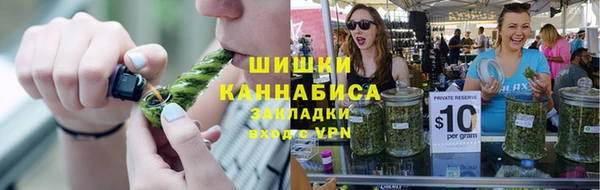 сатива Абинск