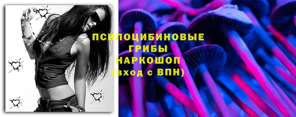 сатива Абинск