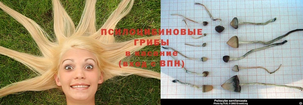 кокаин Алексин