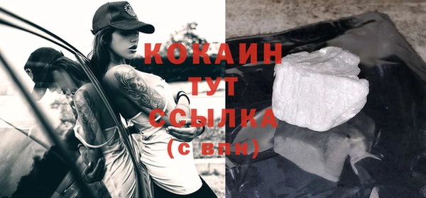 спиды Инсар