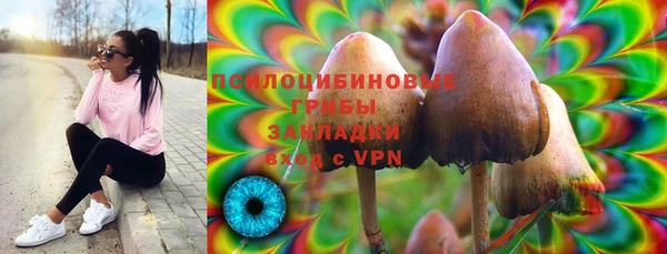 сатива Абинск
