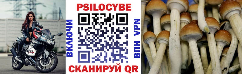 Псилоцибиновые грибы ЛСД  Серафимович 